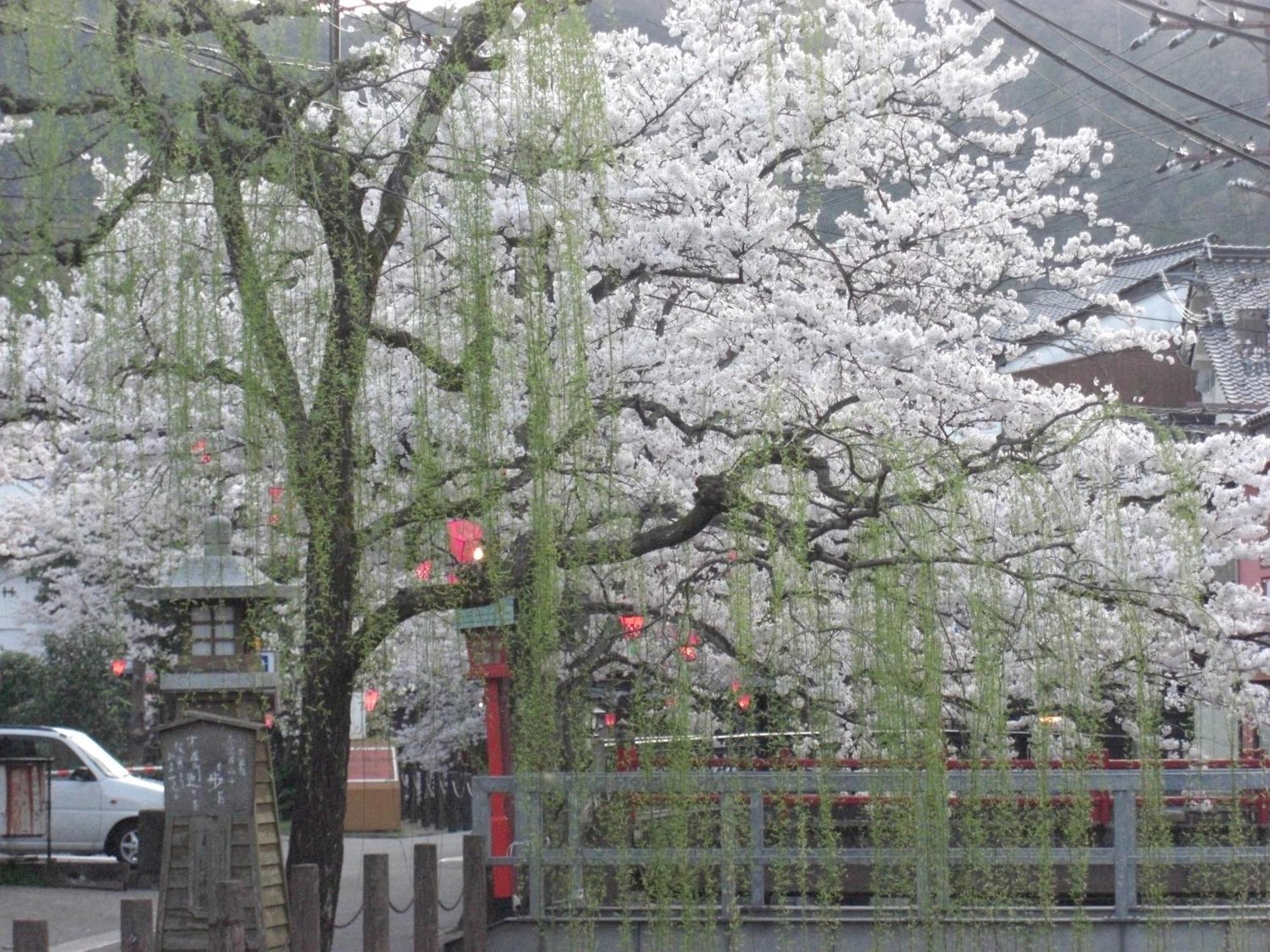 Ryokan Matsuya Hotel Toyooka  Luaran gambar